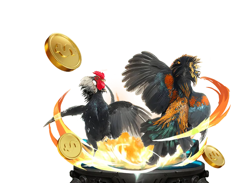 Biểu đồ RTP cao cho slot game